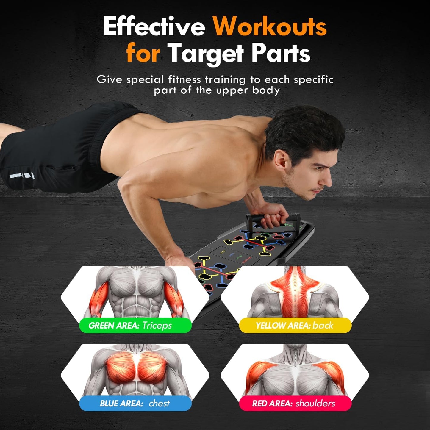 Push Up Board